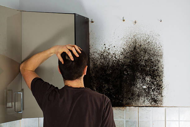 Home Mold Removal in Montgomery, IN